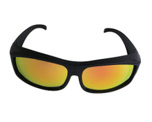 IN-002 Polarized Sunglasses